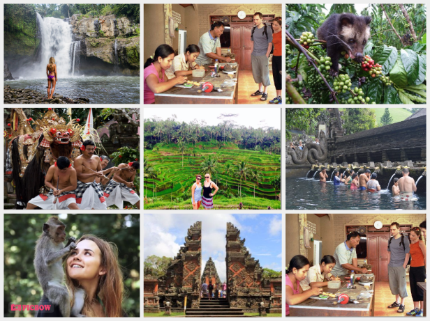 ubud tours